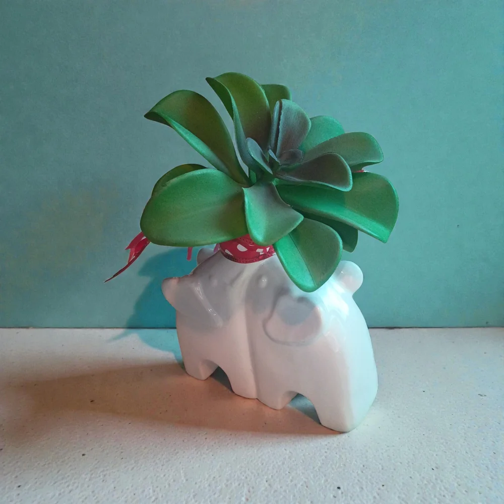 White Elephant Planter with Green Succulent